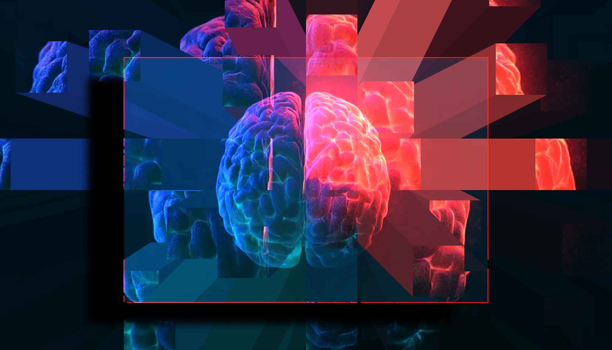 The human brain is two separate organs