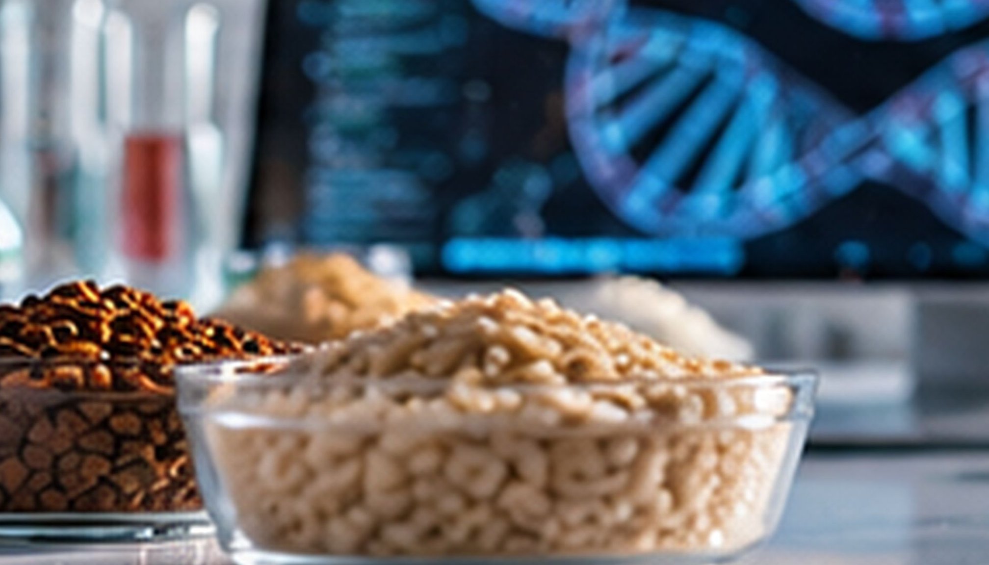 Genetic Study Reveals New Biological Clues Behind Severe Childhood Malnutrition