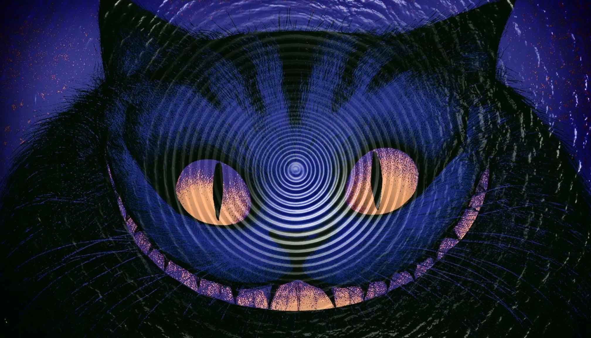 Physicists find 'Cheshire Cat' grin of superconductivity in uranium ditelluride