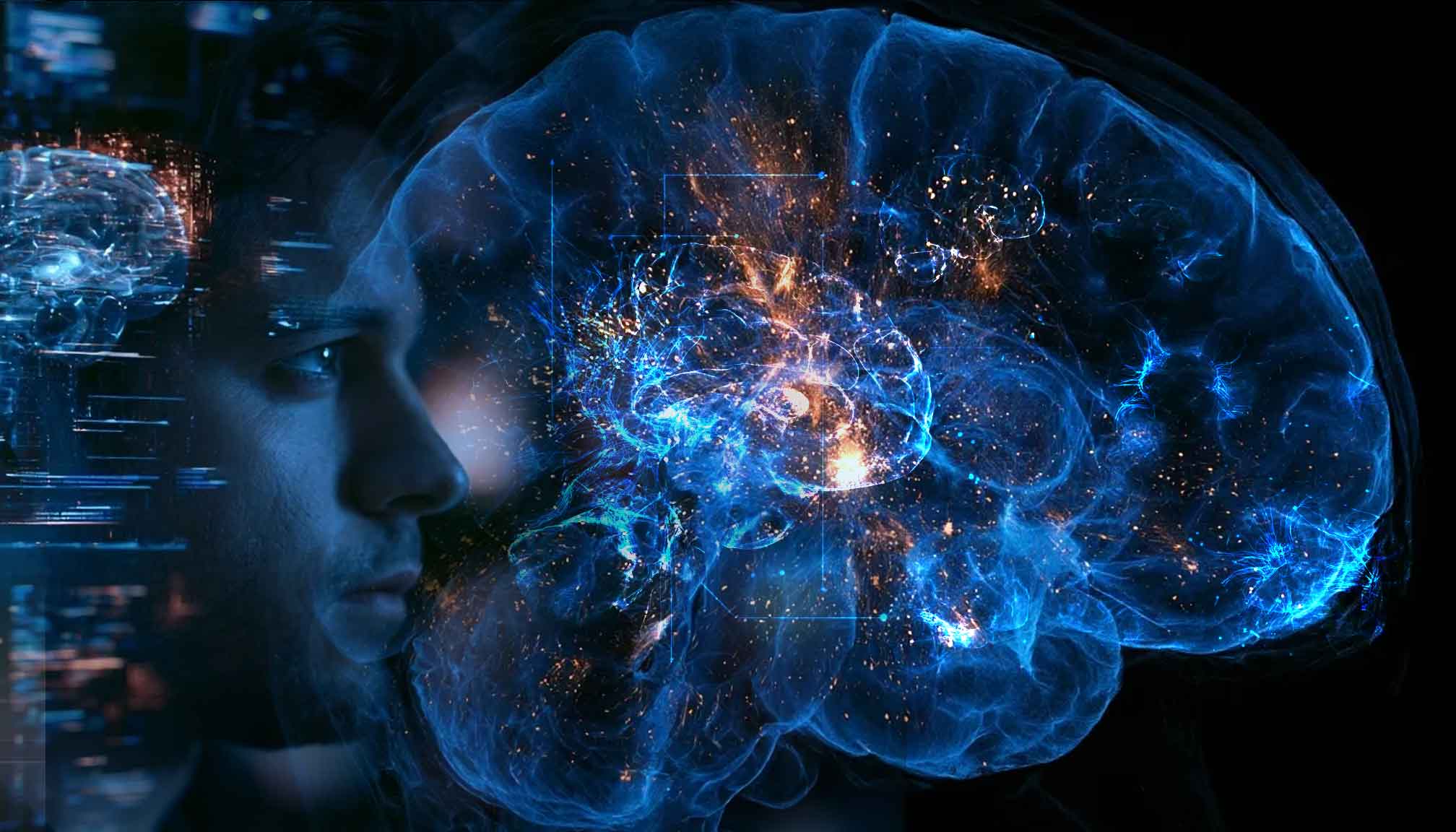 Brain-IT AI reconstructs images from brain scans with minimal training