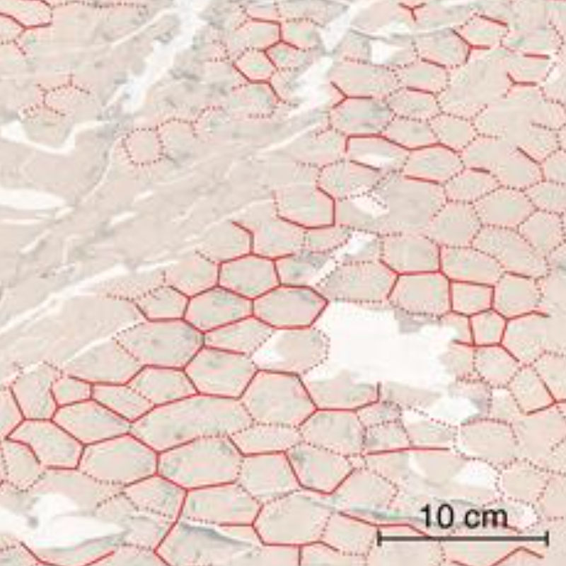 Mars environment found conducive to the emergence of life