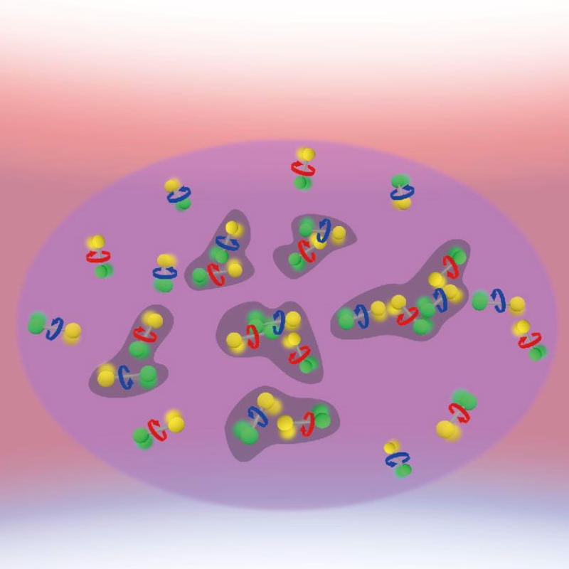 ‘Magic trap’ preserves quantum coherence in ultracold molecules longer than expected