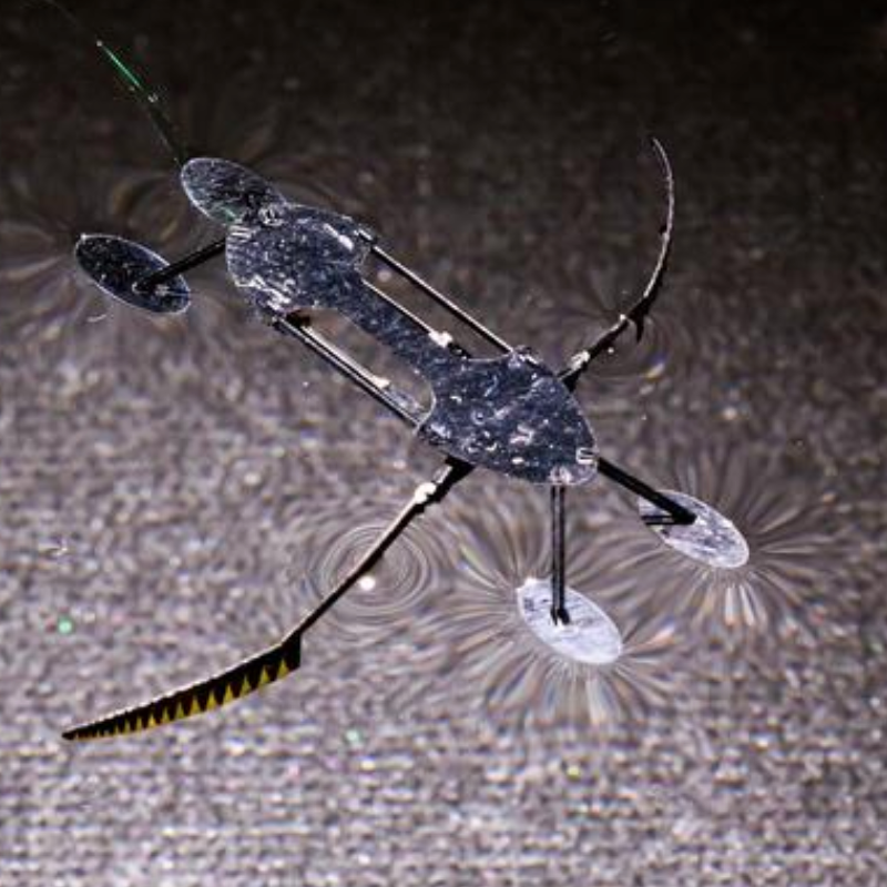 Next (Little) Thing: Insect-like Mini-robots