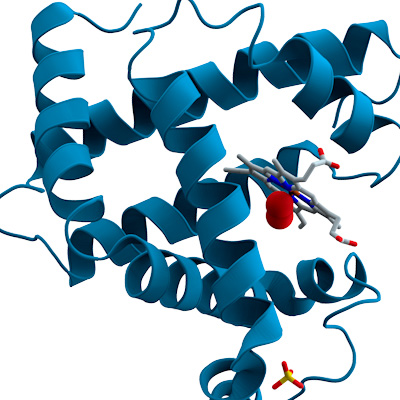 Biochemist and AI researchers win the Nobel Prize in Chemistry