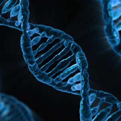 LLMs and machine learning for genomics research