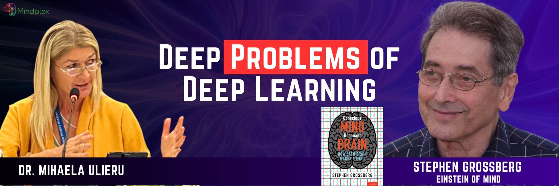 Our Brain’s Neural Networks: From Consciousness To Craziness | MCP Episode 16