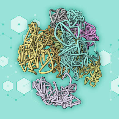 Fast AI method calculates 3D genomic structures