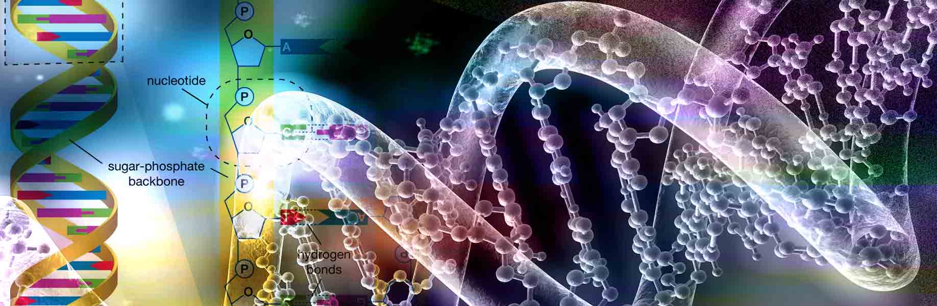 New encyclopedia of human gene functions unveiled