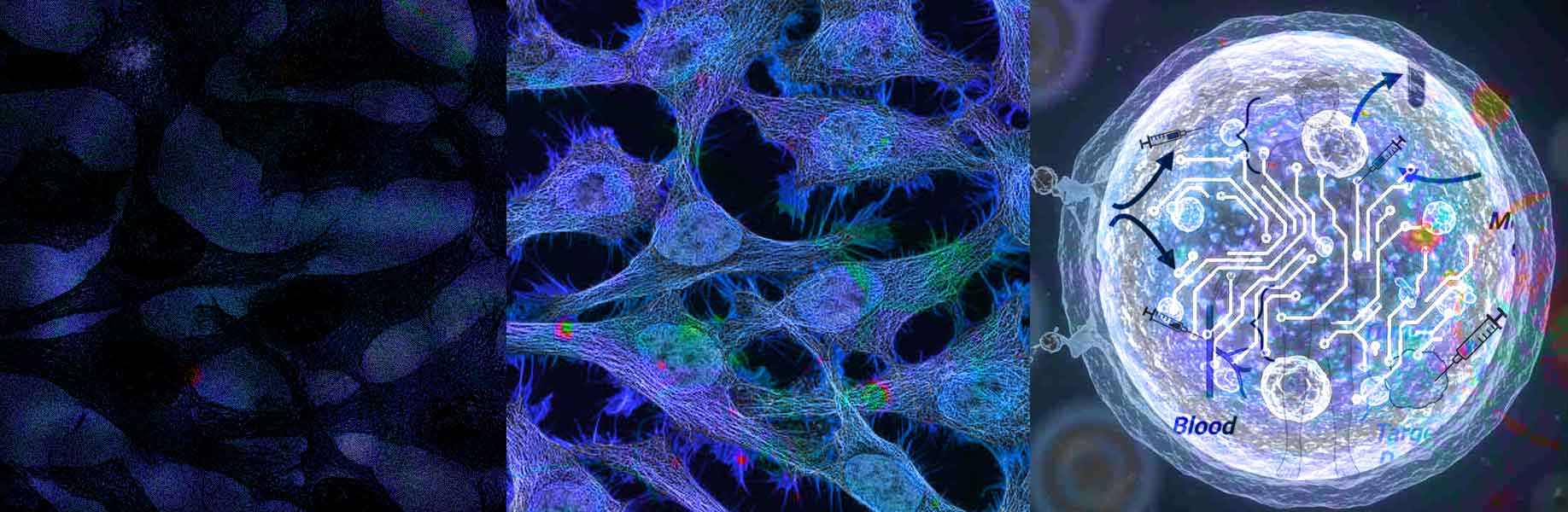 Gene therapy advances with precise control
