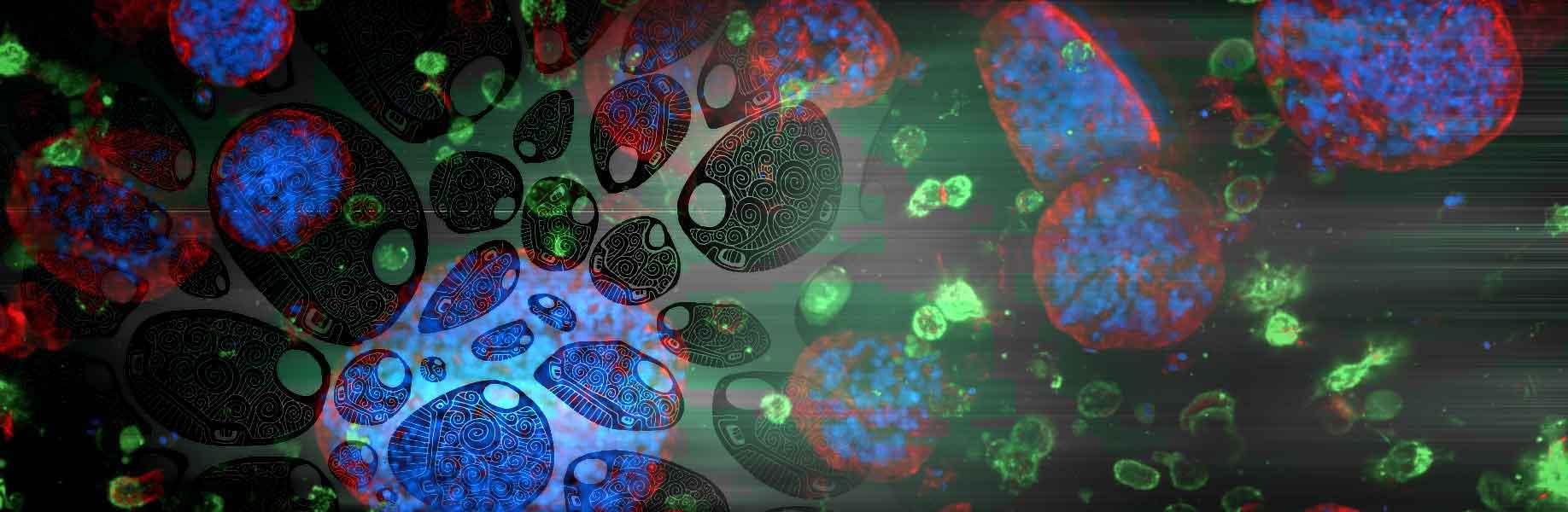 Drawing tiny patterns on living cells