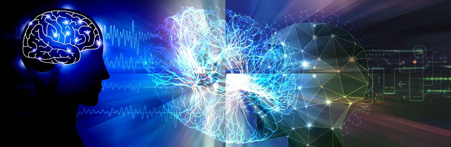 How brain molecules remember past signals