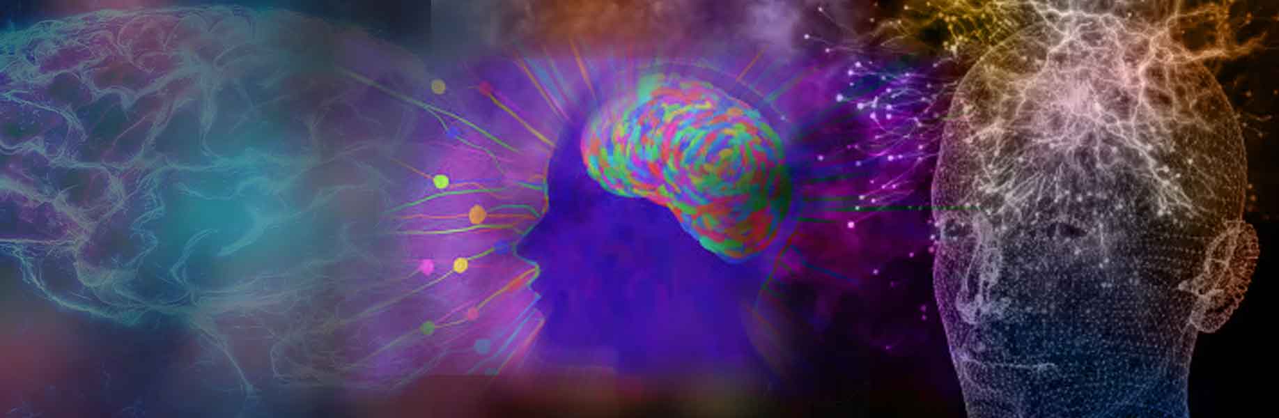 How senses shape consciousness