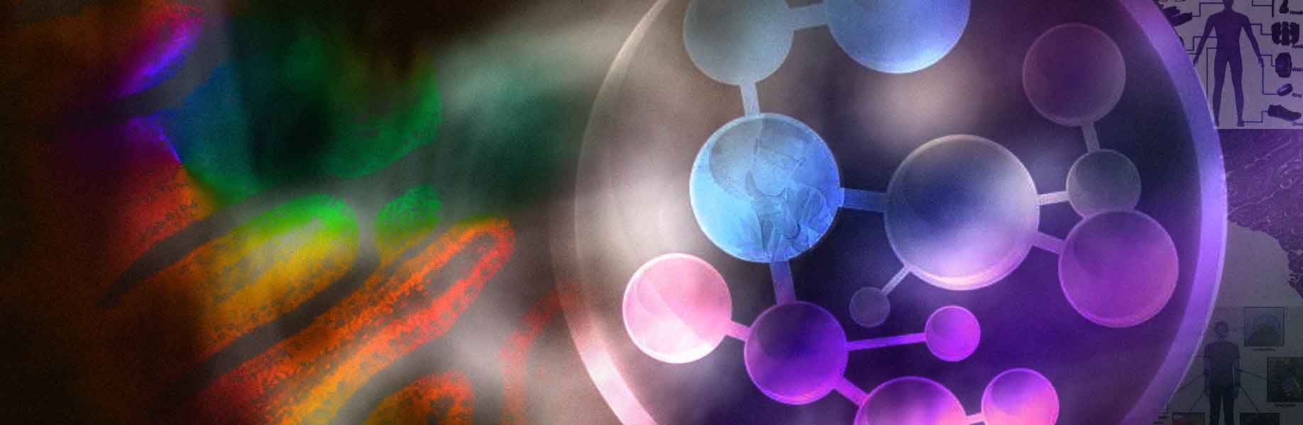 New biosensor tracks molecules in the body for days
