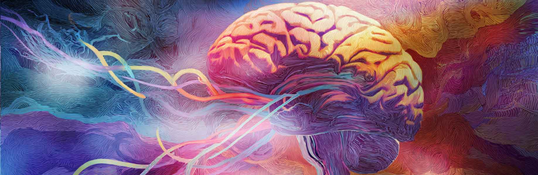 A new view of how the brain works