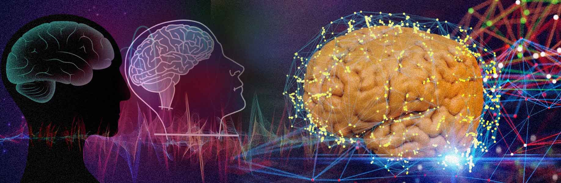 Brain waves and intelligence: A new discovery