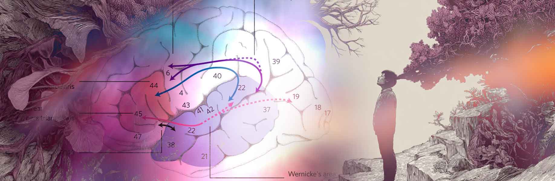 Exploring the nature of language and the mind