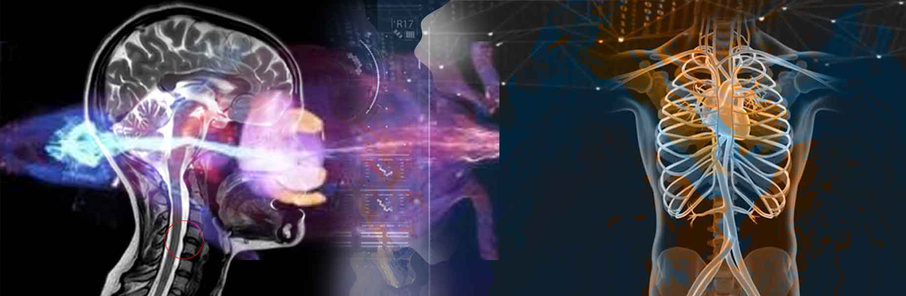 Breakthrough in Fast Whole-Body Imaging