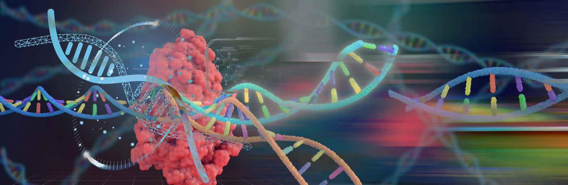 New tool for designing molecules in mammal cells