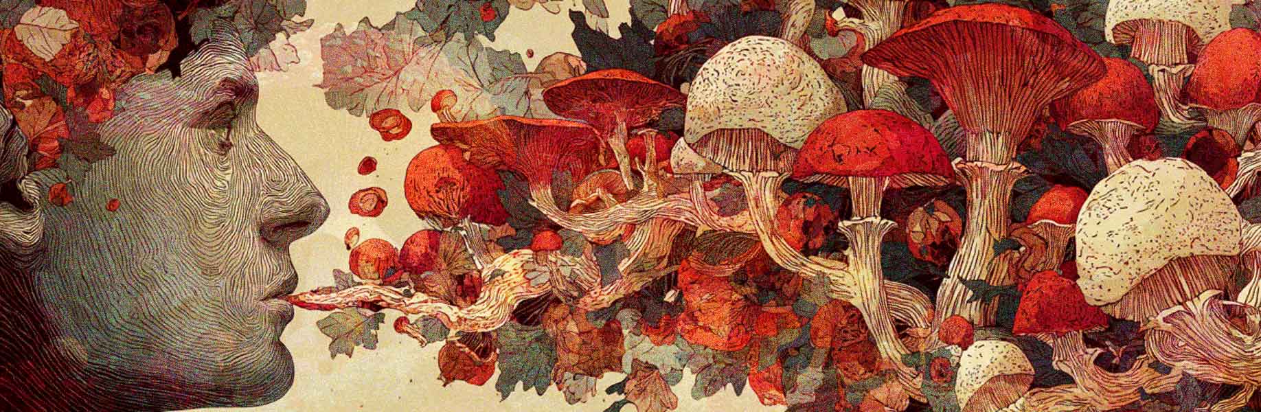 Psilocybin shows promise in delaying aging