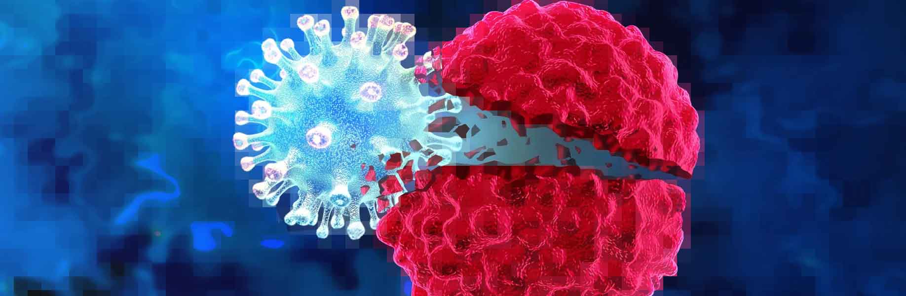 Bacteria hide viruses to fight cancer