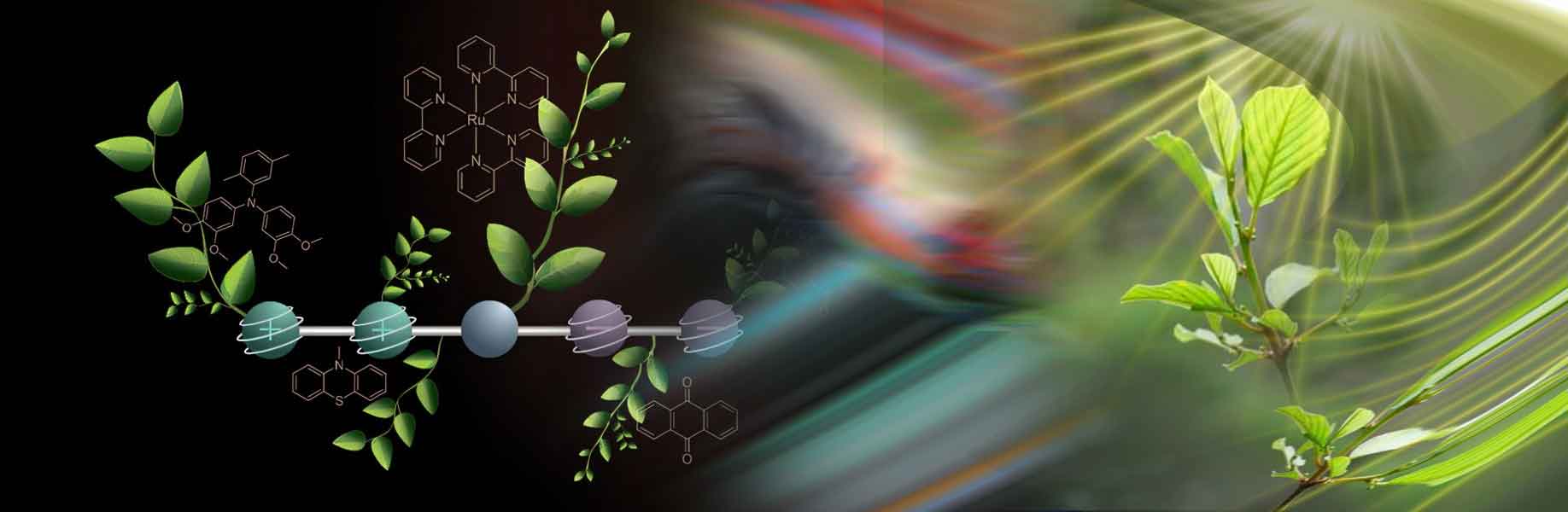 New molecule mimics plant photosynthesis for energy storage
