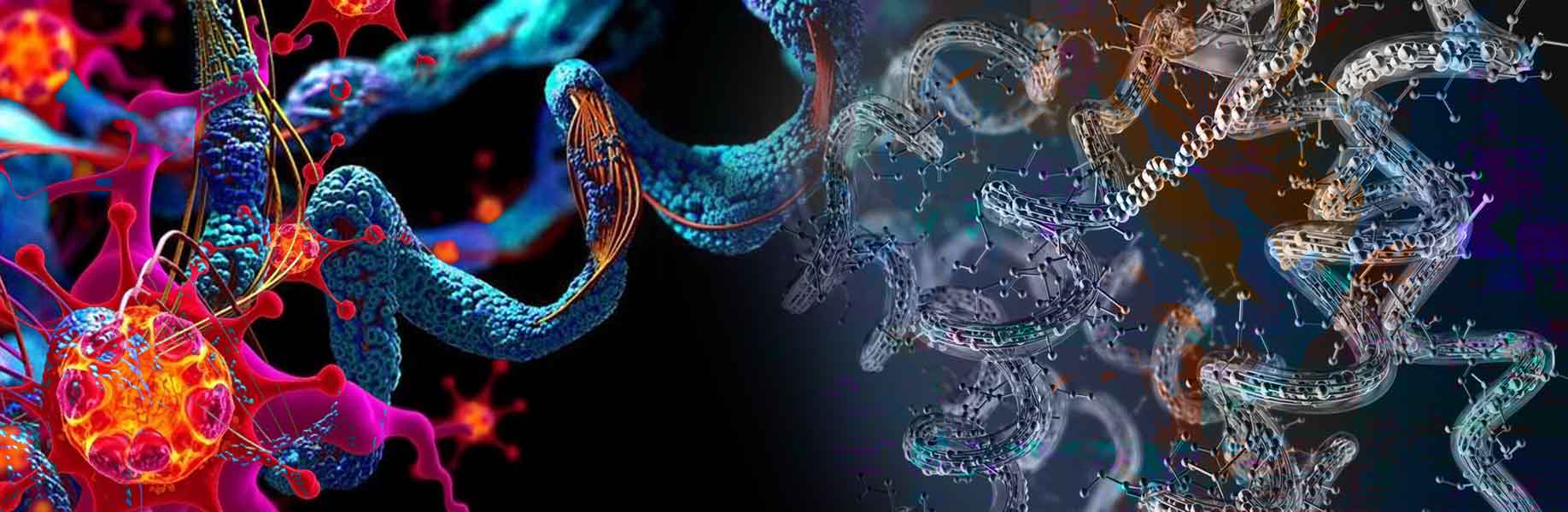 New platform accelerates protein evolution