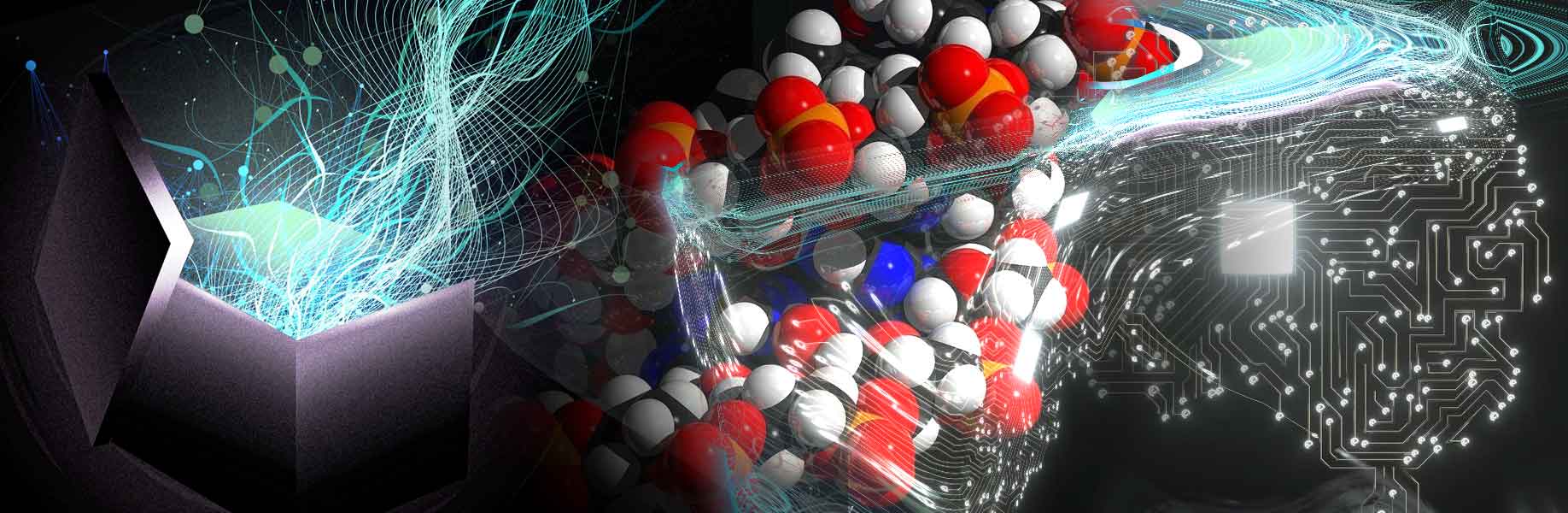 Opening the black box of protein language models
