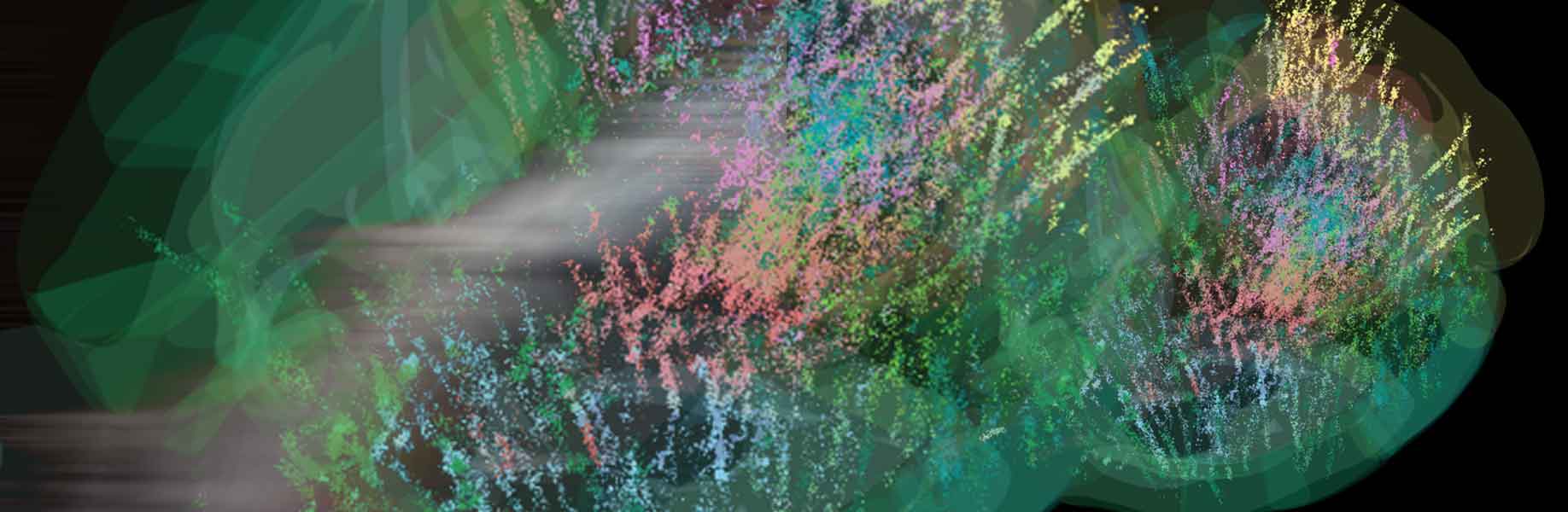 A new look at brain activity during decisions