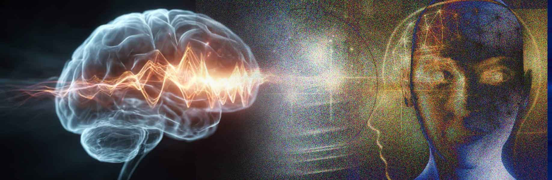 Brain focuses attention broadly before specifics