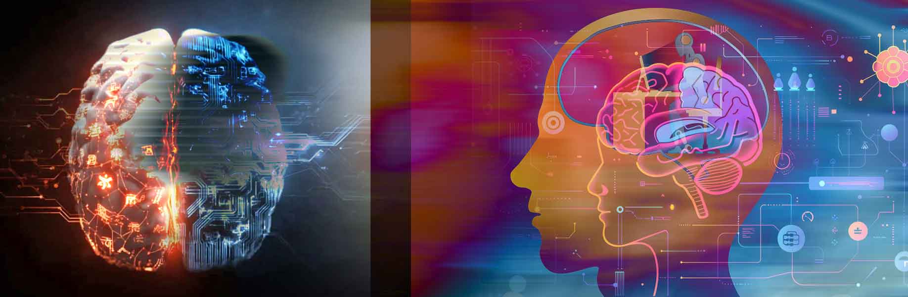 How AI and humans generalize differently