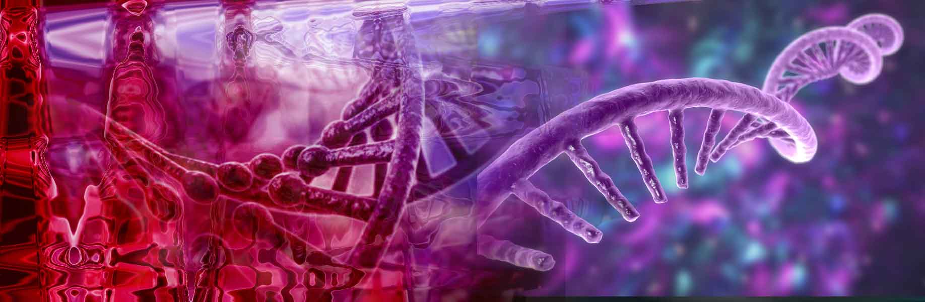 New technology identifies gene control targets
