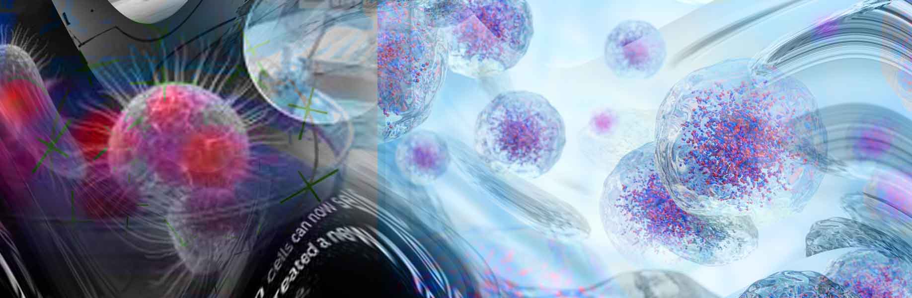 New way to make microscale robots from lung cells