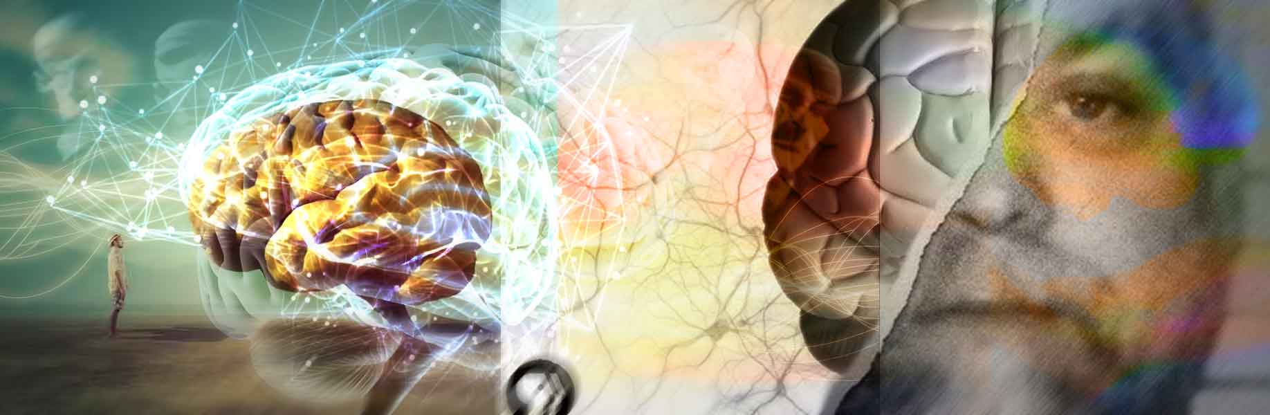 Unveiling the brain's illusion makers