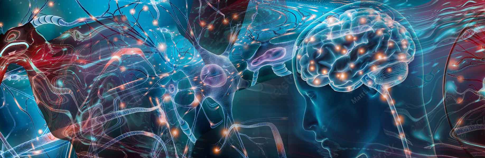 New artificial neurons copy brain processes