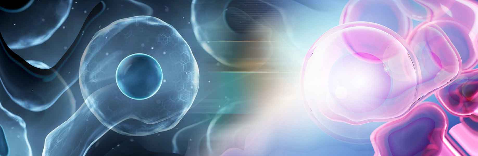 New method tracks protein changes in living cells