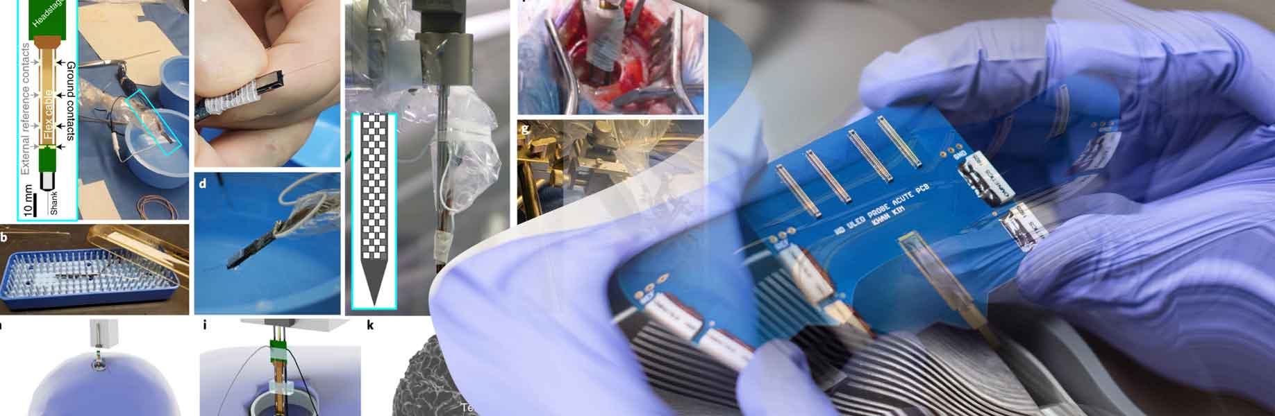 Researchers develop new brain probe for detailed neuron recording