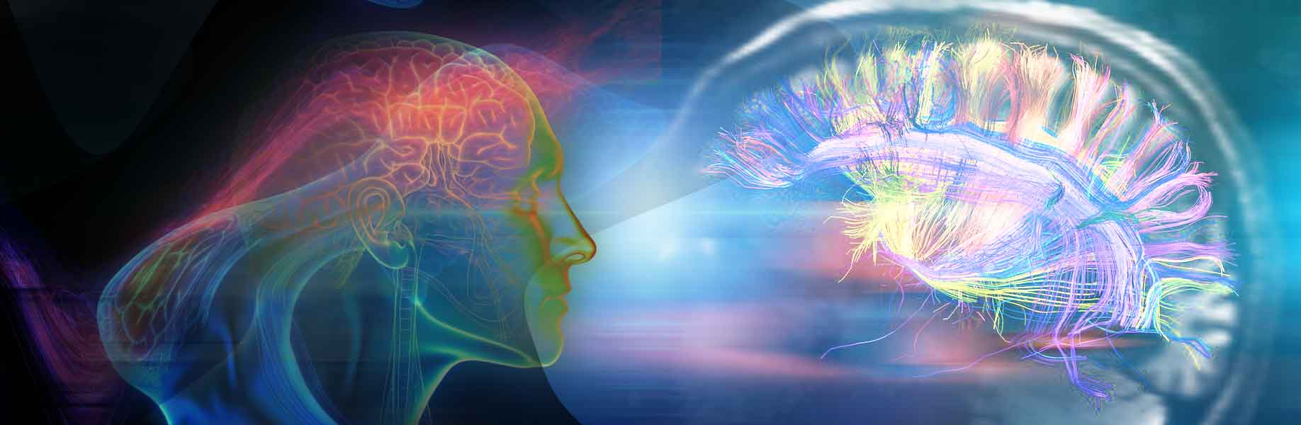 Ultrasound boosts brain research