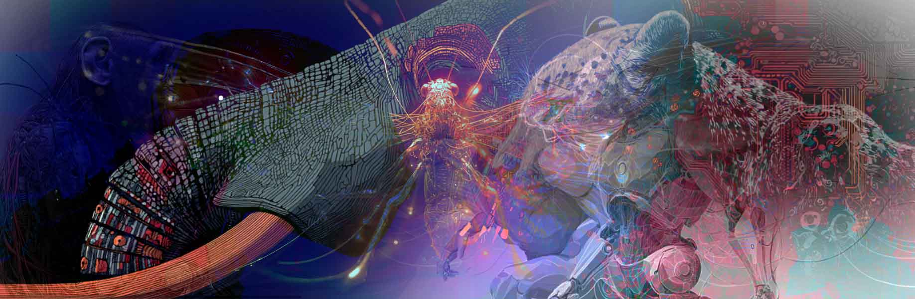 Are animals and AI conscious? We’ve devised new theories for how to test this
