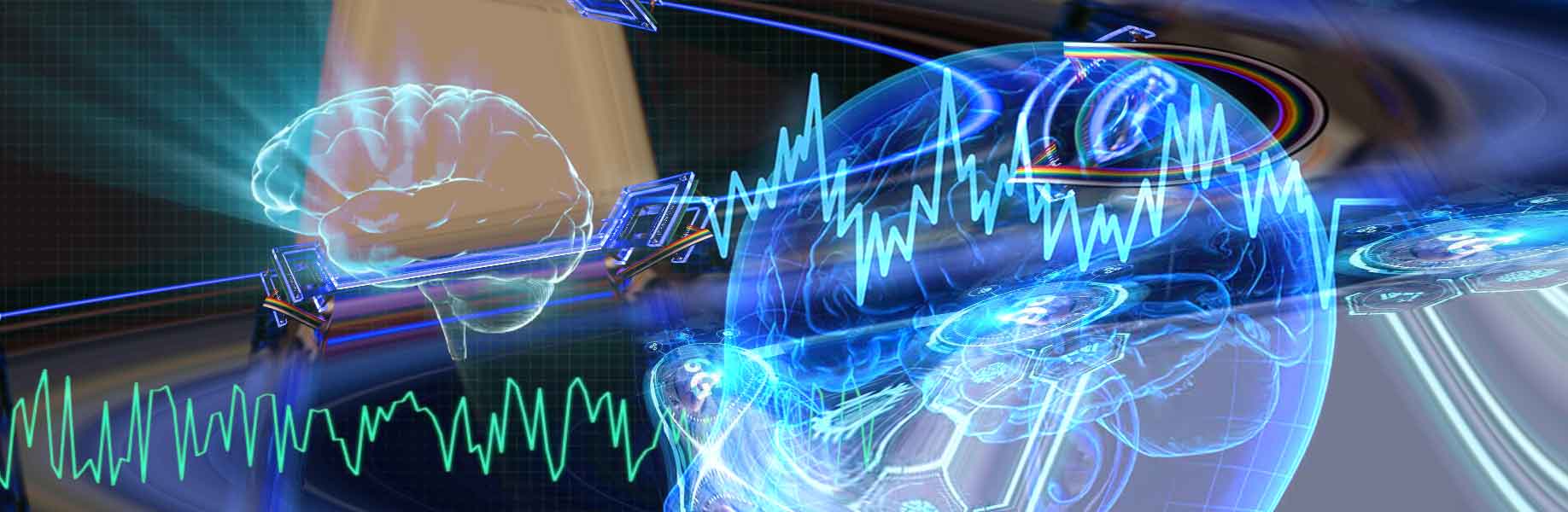 Brain waves shape thought and awareness, scientist suggests