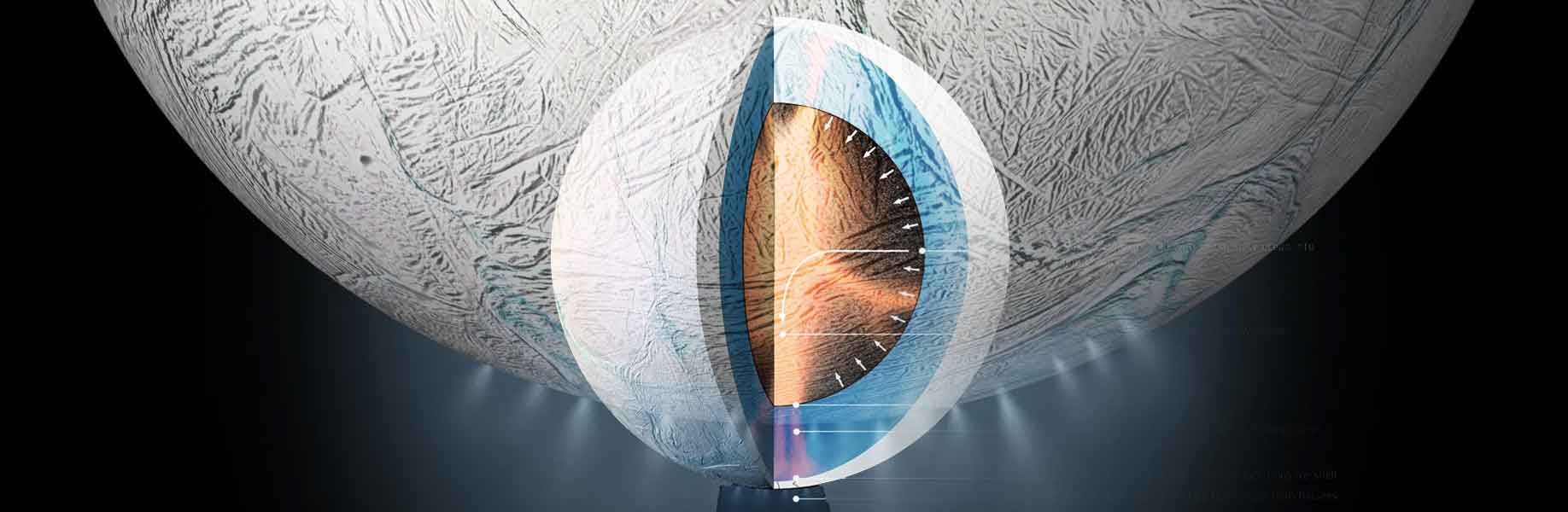 Enceladus reveals heat loss from both poles