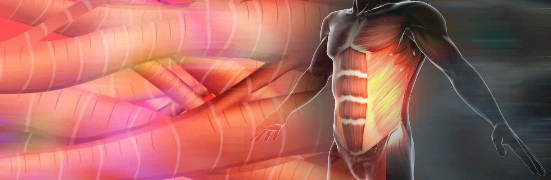 Printing muscle tissue in zero gravity