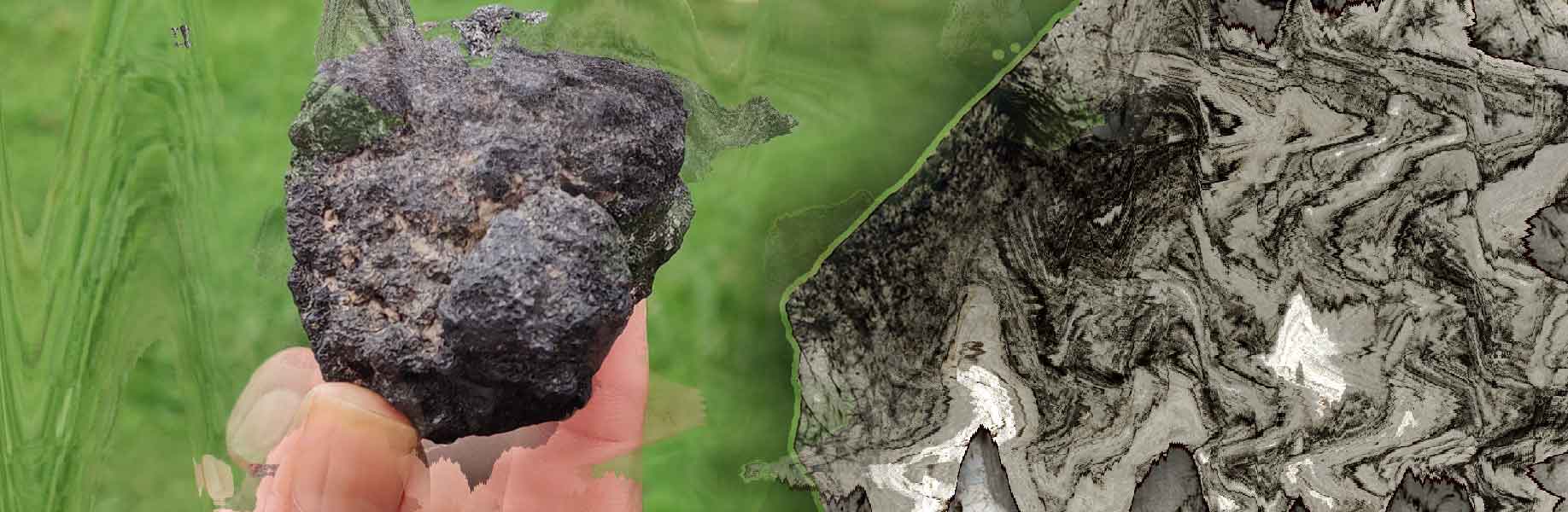 Using machine learning to tell apart non-living and living organics in meteorites and earth samples