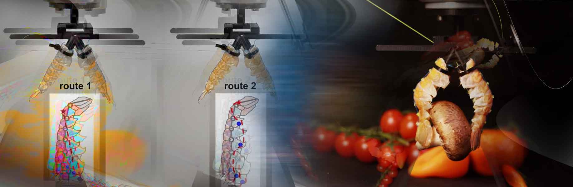 Bio-hybrid robots from food waste
