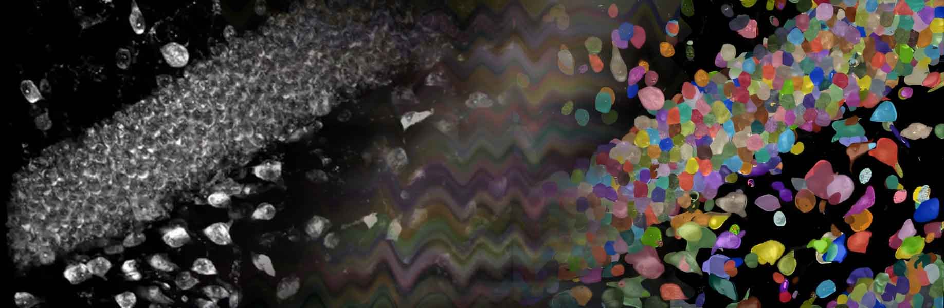 New tool acts as cellular tape recorder for biological processes