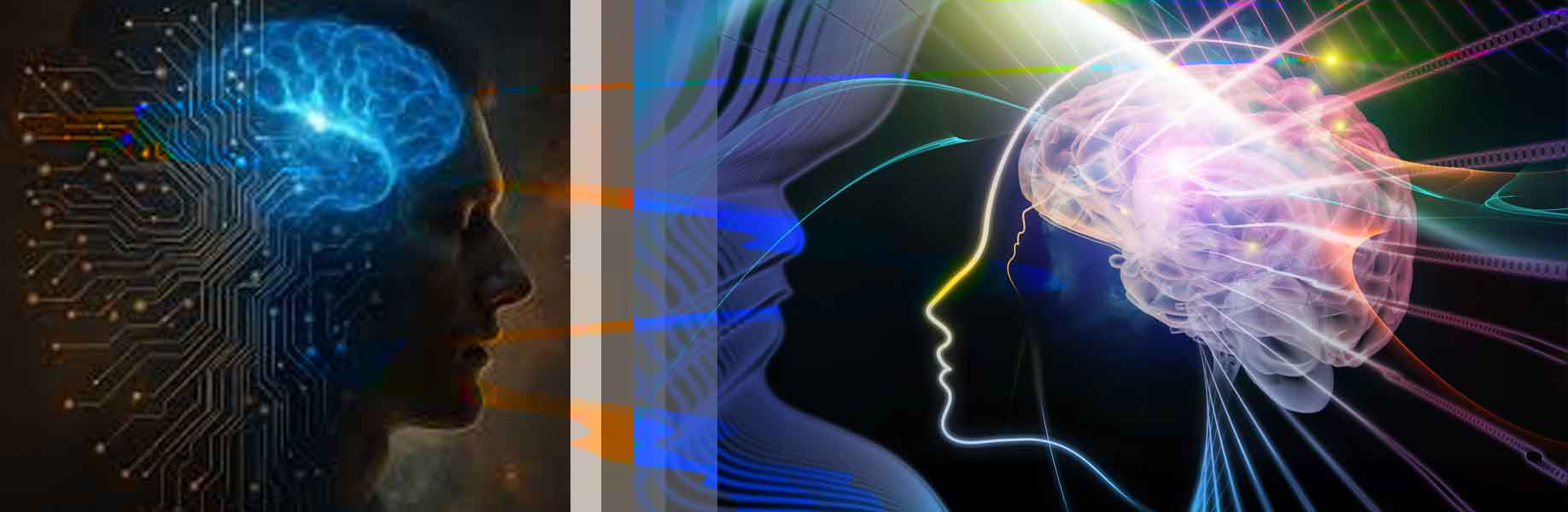 New tool may help solve consciousness puzzle