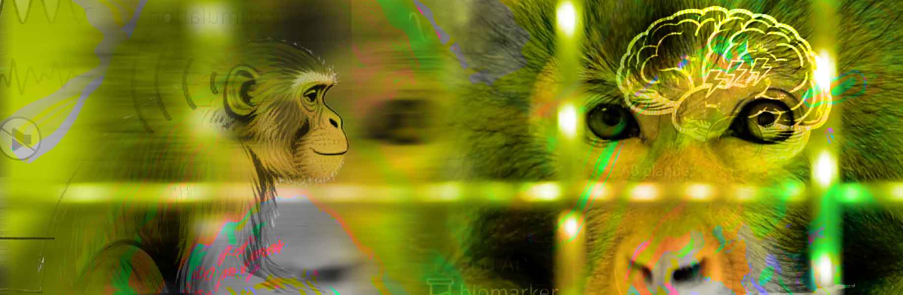 Gene therapy advance enables noninvasive brain monitoring in monkeys