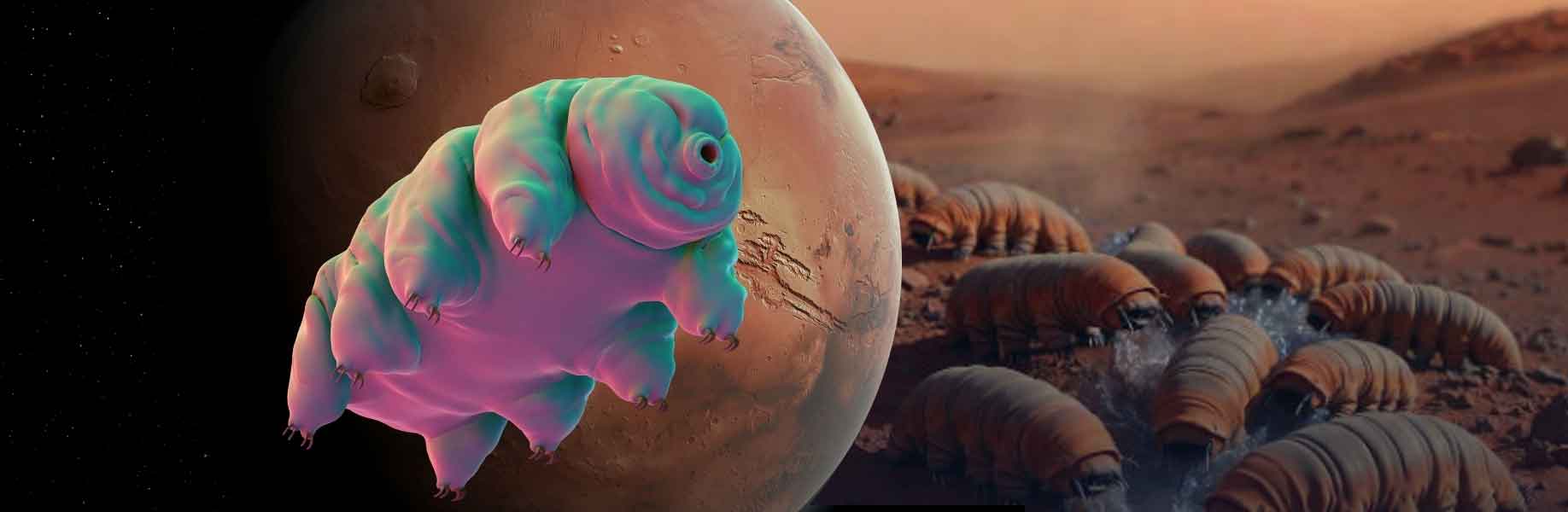 Tardigrades reveal ways to adapt Martian resources for human exploration