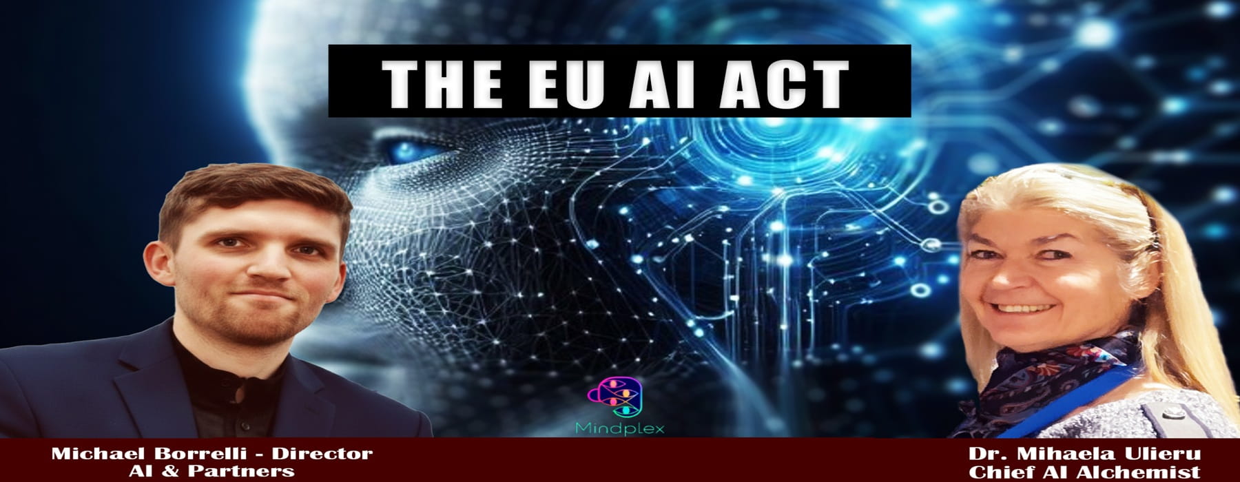 The EU AI Act