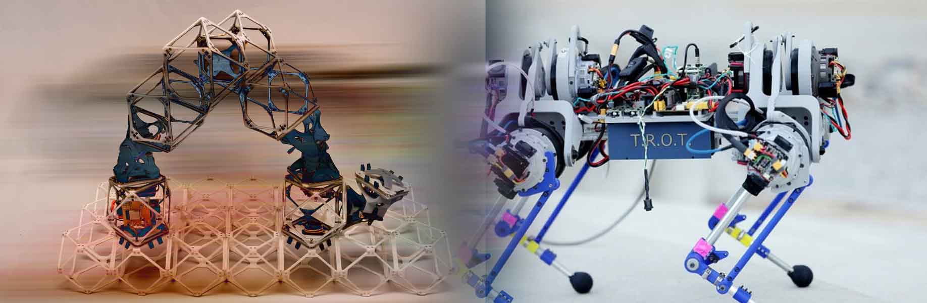 Engineers develop modular robots that join together