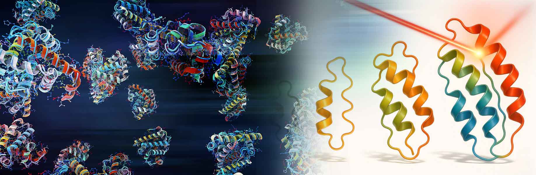Optovolution: using light to evolve dynamic proteins